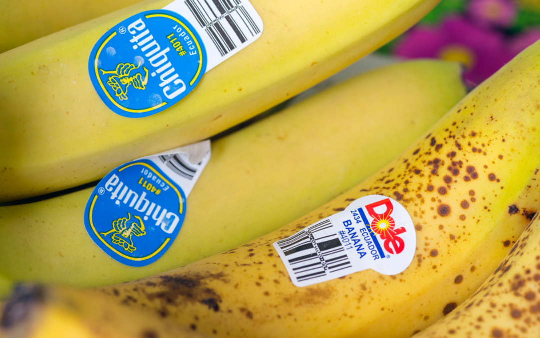 Бананы из Эквадора: Вкус Экзотики и Качество Под Солнцем Амазонии